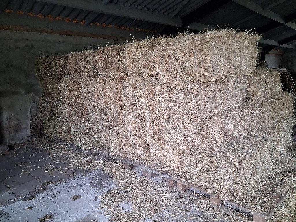 80 hooibaaltjes, Dieren en Toebehoren, Ophalen, Vee