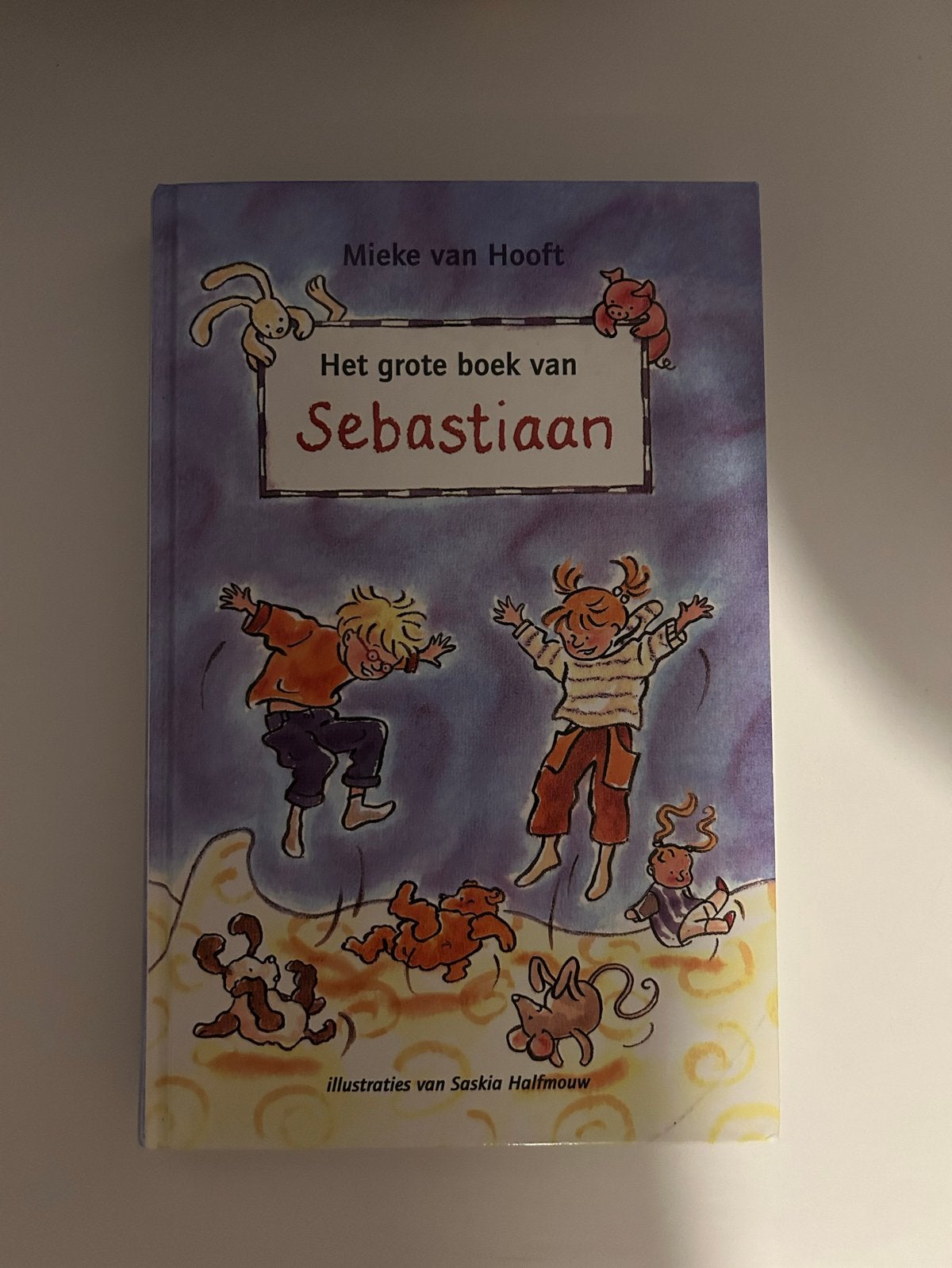 Het Grote Boek van Sebastiaan - Mieke van Hooft, Ophalen, Zo goed als nieuw, Fictie algemeen