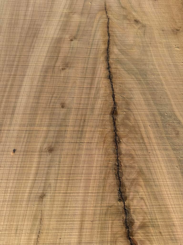 Mooie iepen boomstambladen 250x50x3,5 cm, Ophalen, Zo goed als nieuw, 250 cm of meer, Planken
