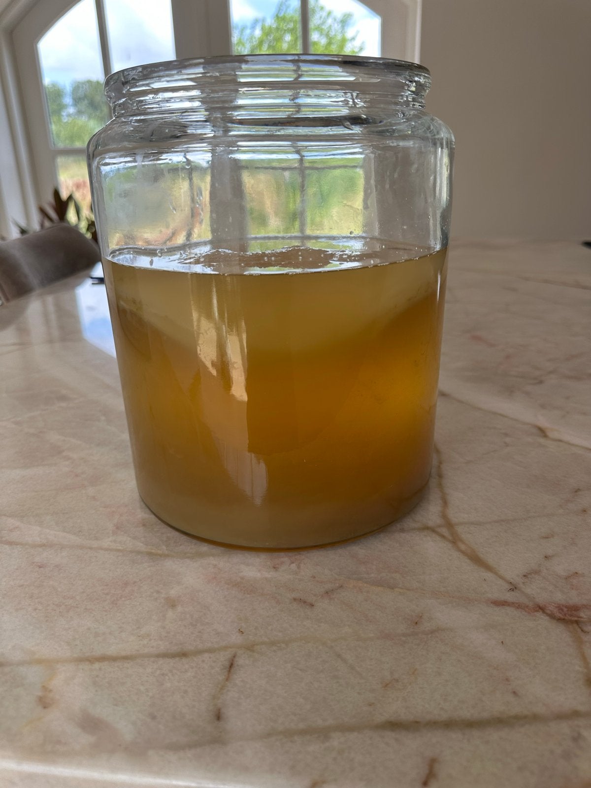 Yun kombucha scoby plus starterdrank, Ophalen
