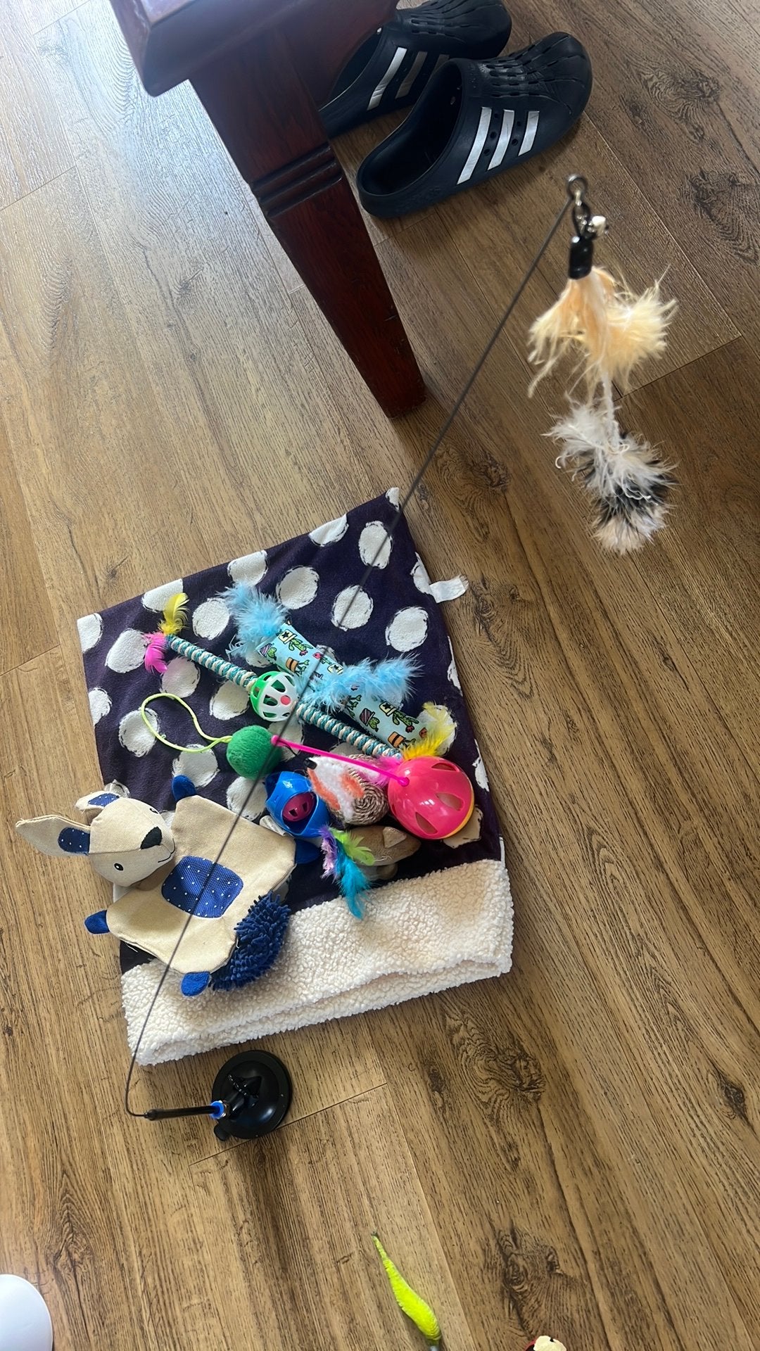 Diverse katten speeltjes, Dieren en Toebehoren, Katten-accessoires, Ophalen of Verzenden