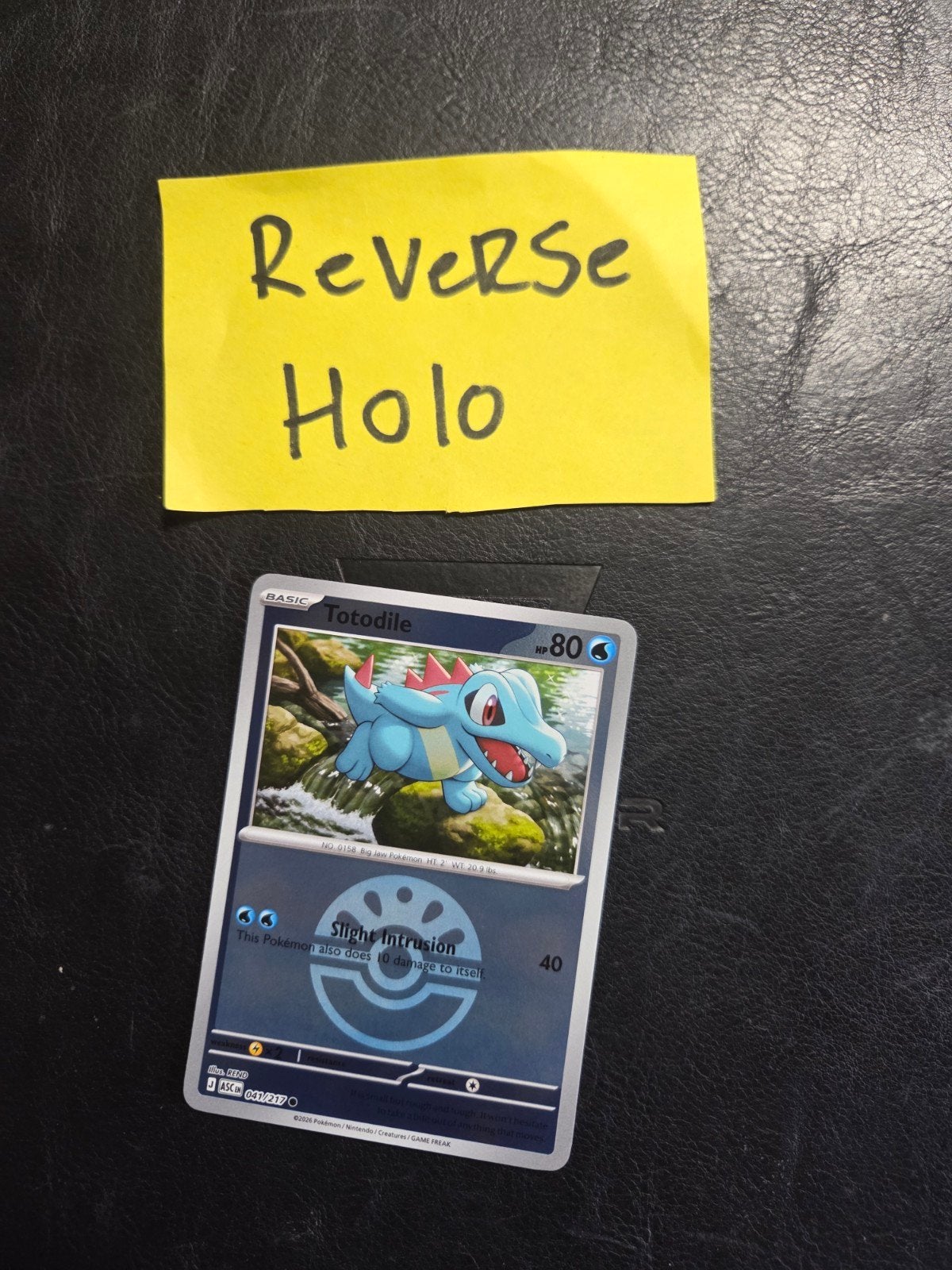 Totodile 041/217 Ascended heroes, Hobby en Vrije tijd, Ophalen of Verzenden, Zo goed als nieuw