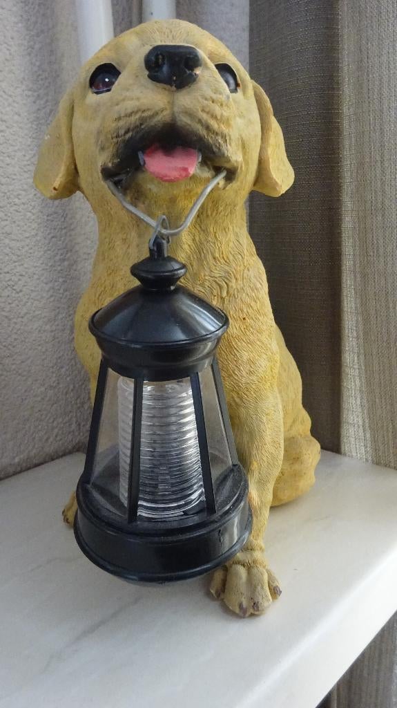 Honden Beeld Van Kunststof., Ophalen of Verzenden, Zo goed als nieuw, Dier