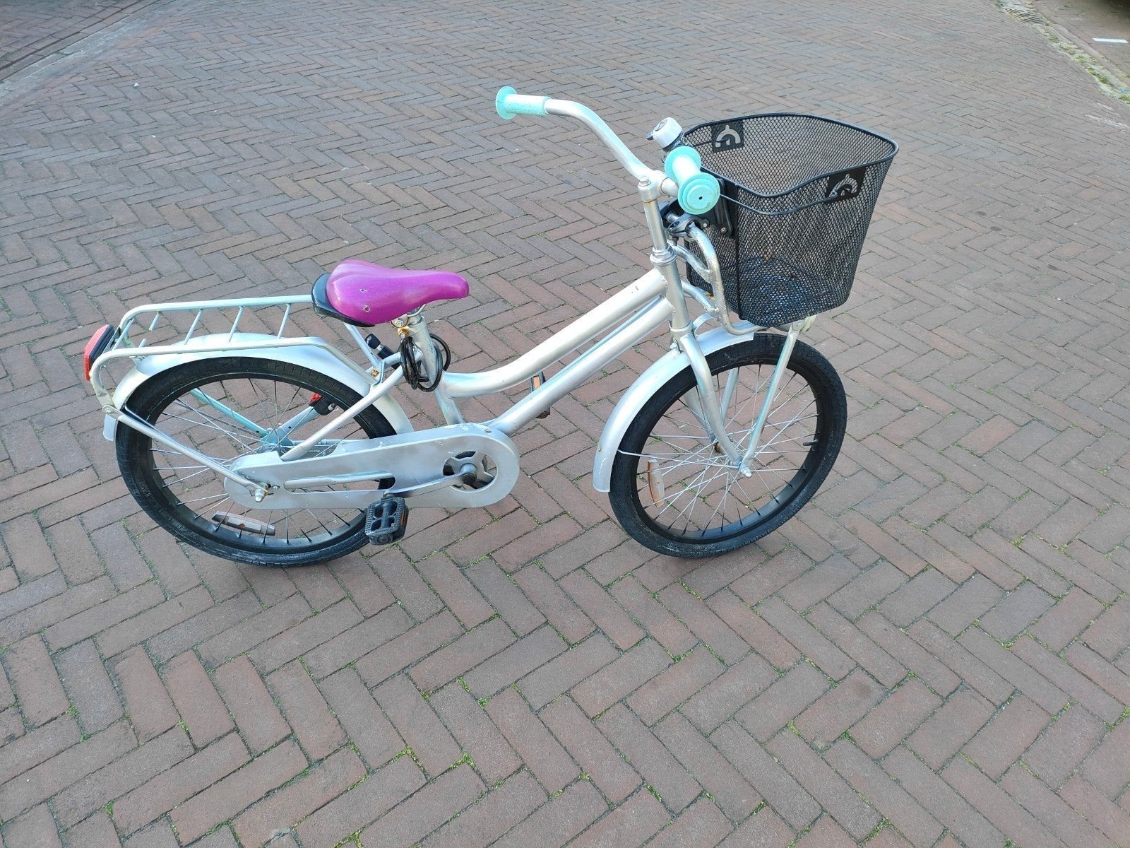 meisjes fiets 20 inch, Ophalen, Gebruikt, Terugtraprem, 20 inch