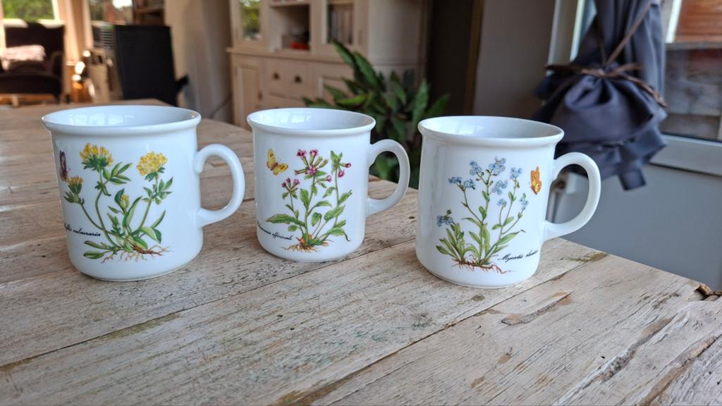 Set van 3 vintage botanische mokken Kronester Bavaria, Ophalen of Verzenden