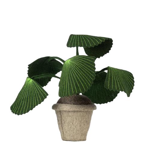 Plant Pebbe Vilt Decoratie Kinderkamer Kidsdepot, Overige typen, Transportcentrum 19 7547 RT ENSCHEDE, Nieuw, Ophalen of Verzenden
