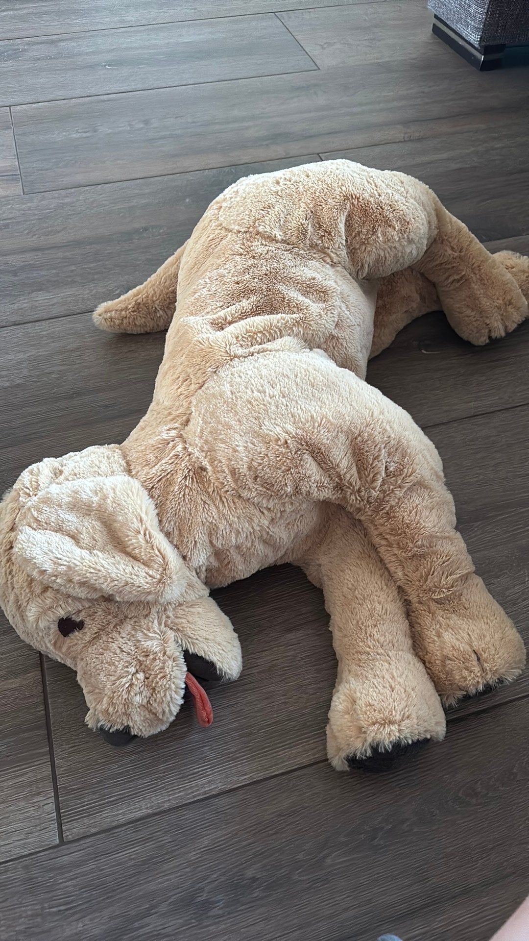 Knuffel hond, Ophalen, Zo goed als nieuw, Hond