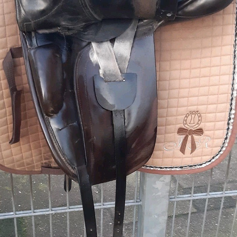 Hulsebos, Dieren en Toebehoren, Ophalen, Gebruikt, Dressuur