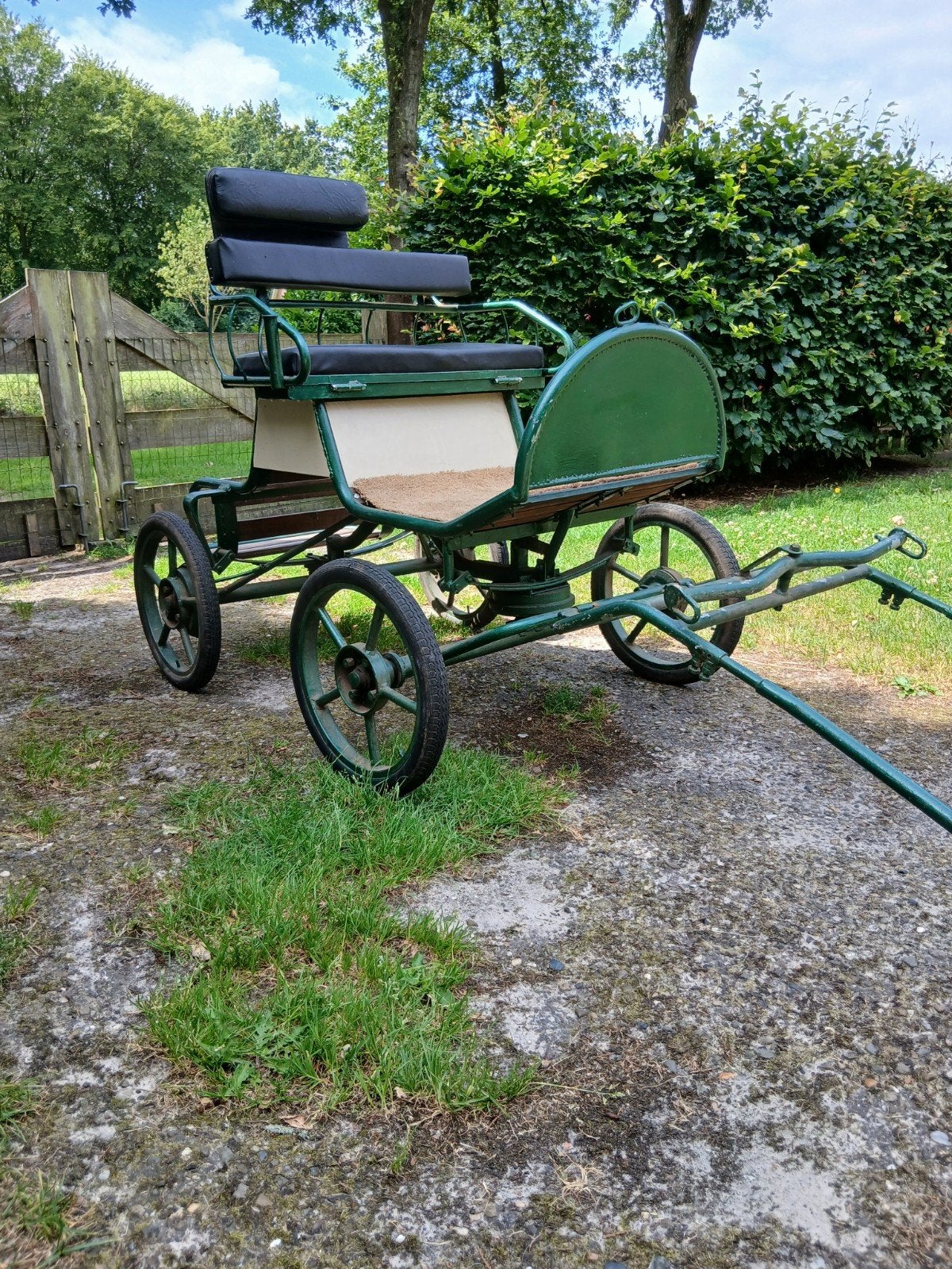 Shetlander menwagen Recreatiewagen pony kar wagen Ponykar, Pony