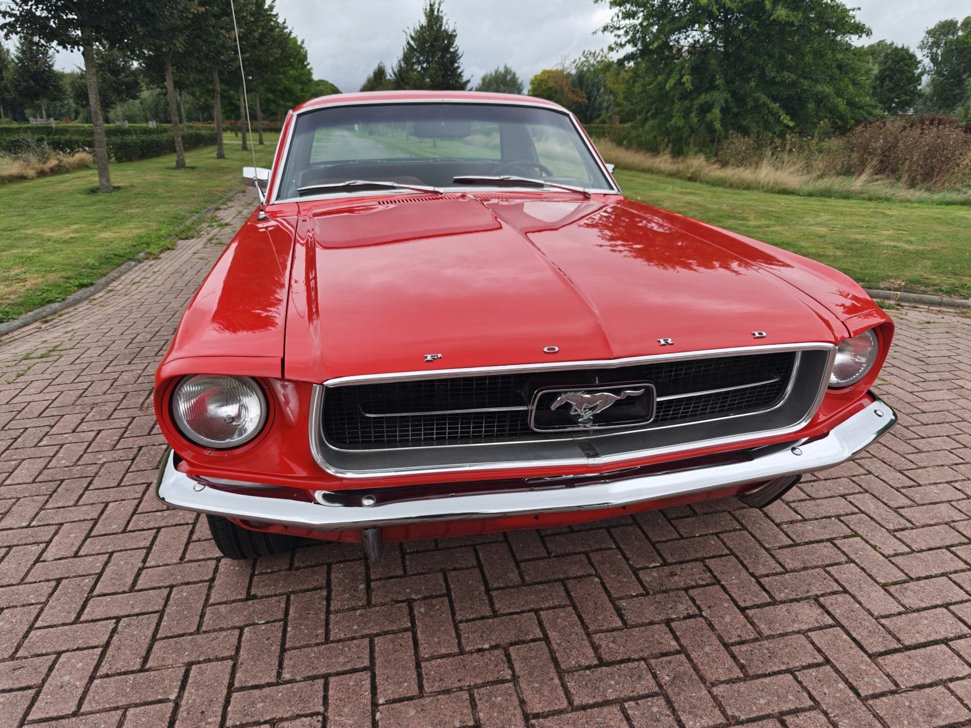Ford Mustang HARDTOP 289 V8 COUPE A CODE! (bj 1967), foto 3