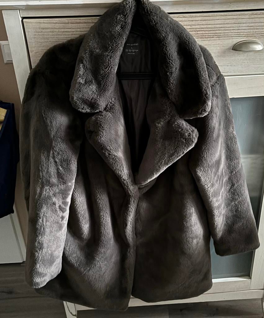 Nieuwe jas, Kleding | Dames, Ophalen of Verzenden, Nieuw, Grijs