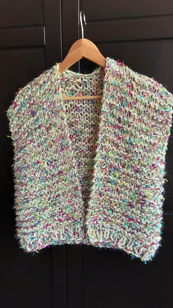 Gilet, Ophalen of Verzenden, Nieuw, Maat 38/40 (M)
