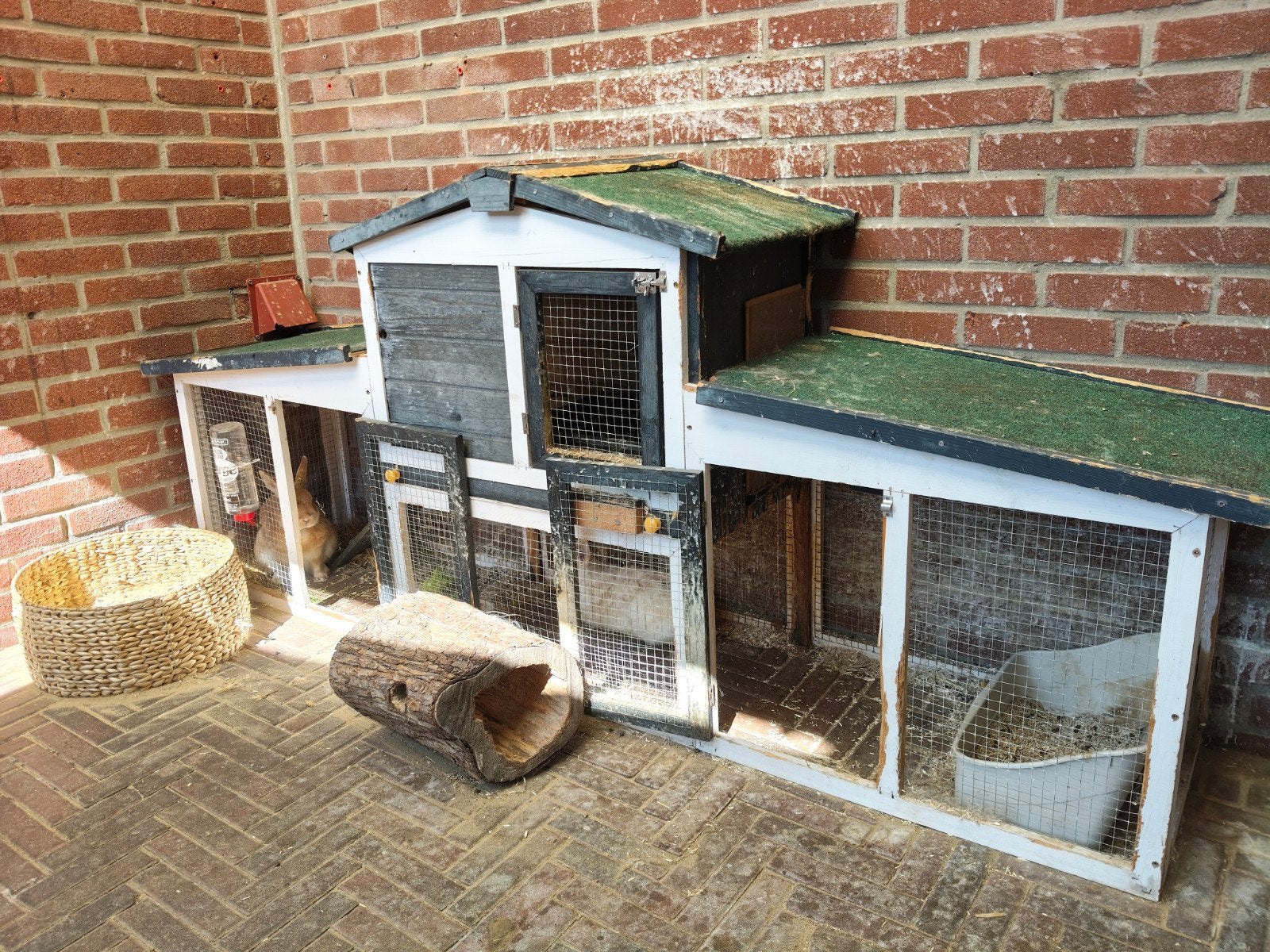 konijnenhok, gratis af te halen, Dieren en Toebehoren, Knaagdieren en Konijnen | Hokken en Kooien, Ophalen, 90 cm of meer, Konijn