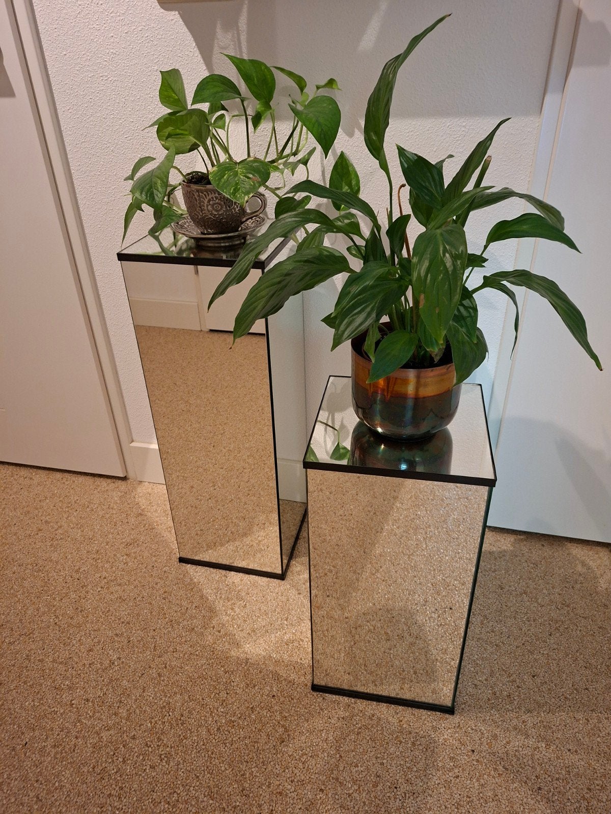 2  spiegel plantentafels of voor een beeld etc., Ophalen