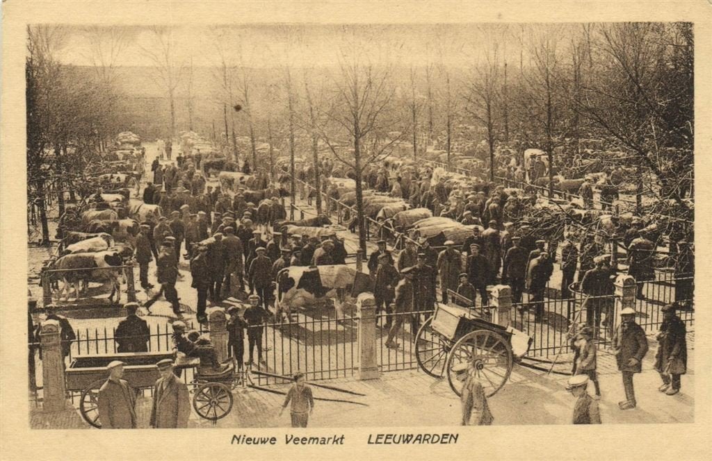 Nieuwe Veemarkt - Leeuwarden - koeien - ongelopen, Verzamelen, Verzenden, 1920 tot 1940, Ongelopen, Friesland