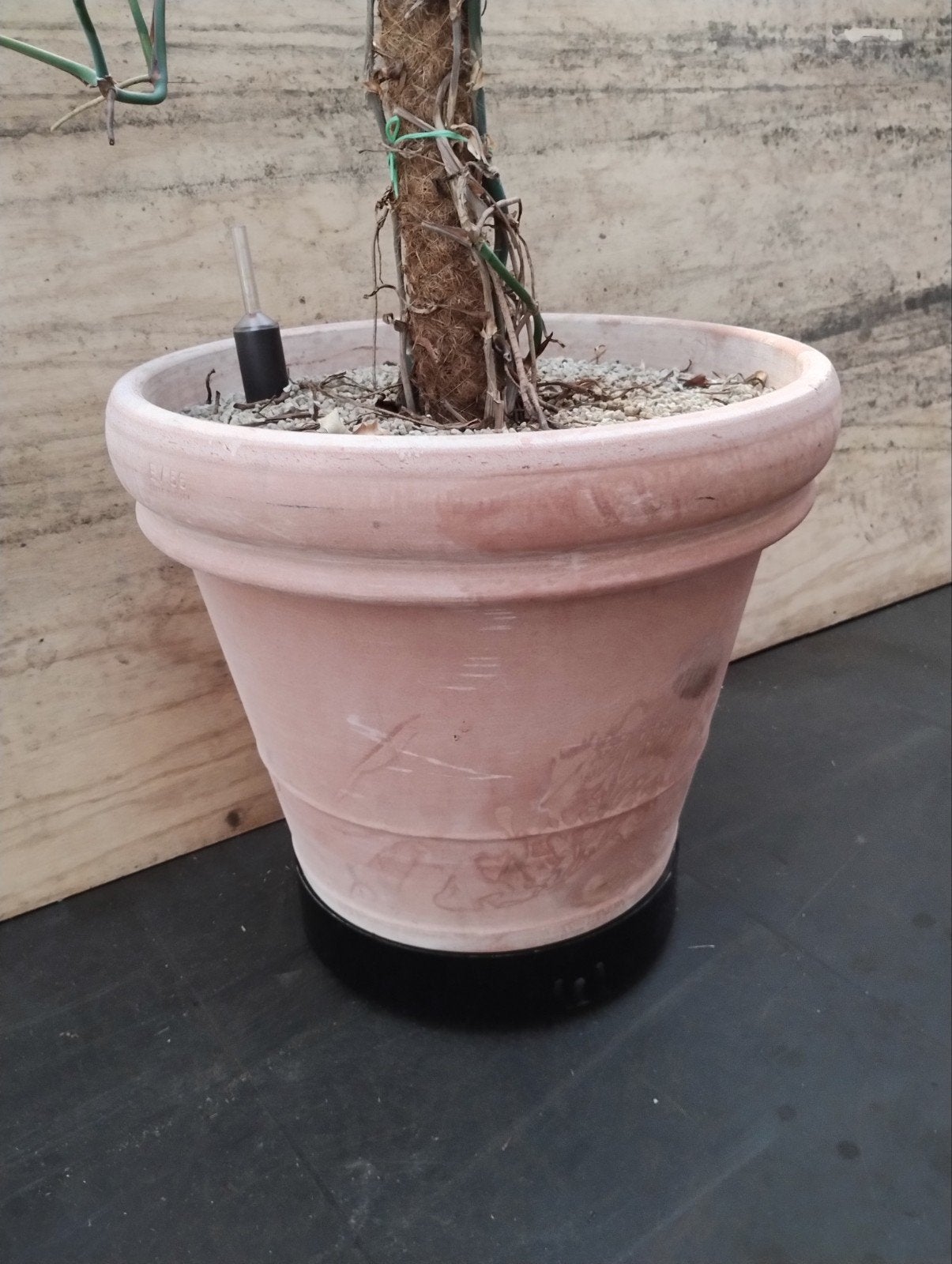 Terracotta bloempotten, Ophalen, Steen, Minder dan 30 cm, Rond