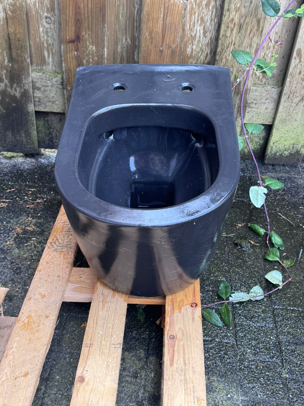 Zwart hangtoilet met toiletbril, Doe-het-zelf en Verbouw, Sanitair, Ophalen, Gebruikt, Toilet