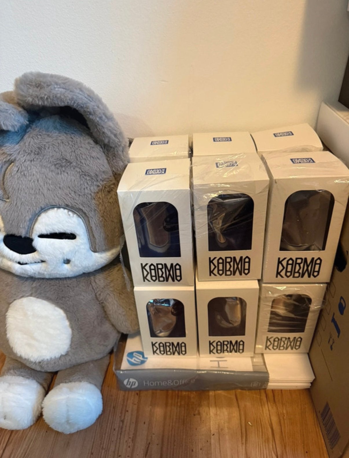 Stray Kids Karma SKZOO album compleet, Verzamelen, Ophalen of Verzenden, Zo goed als nieuw