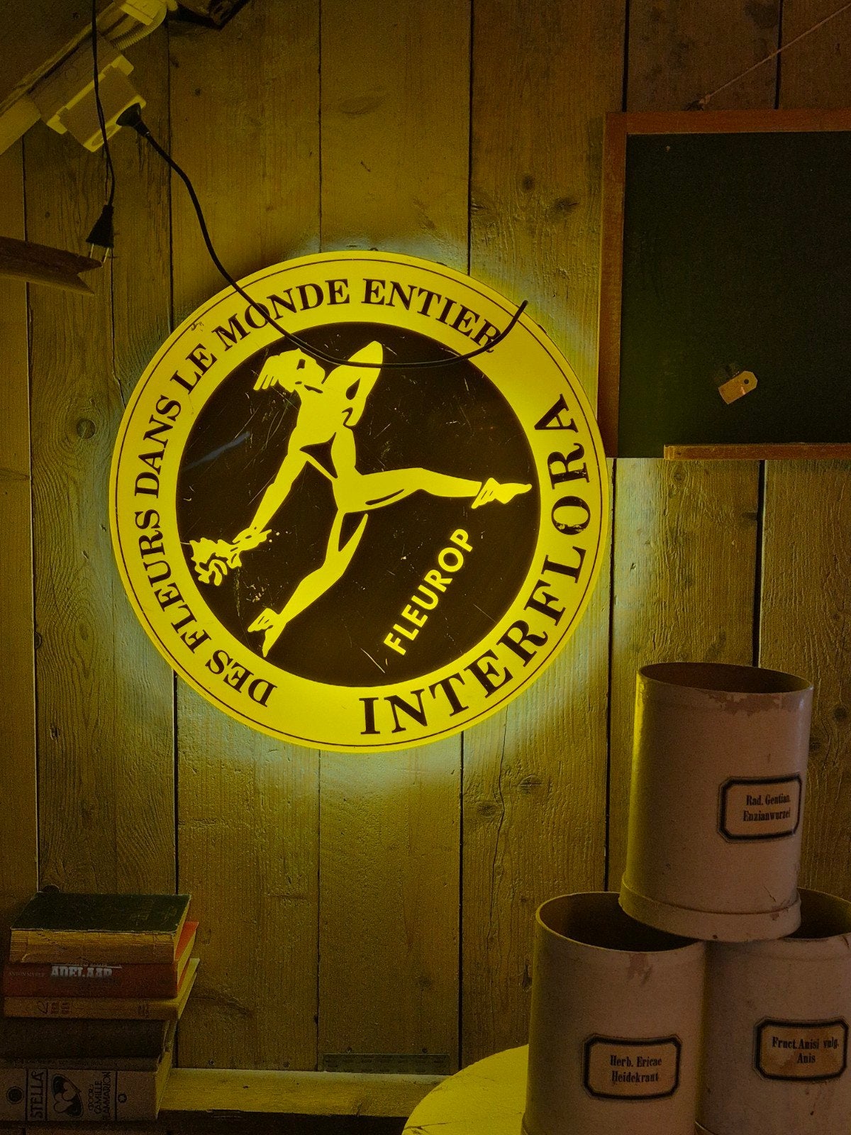 Neon lamp fleurop frans, Antiek en Kunst, Antiek | Lampen, Ophalen of Verzenden