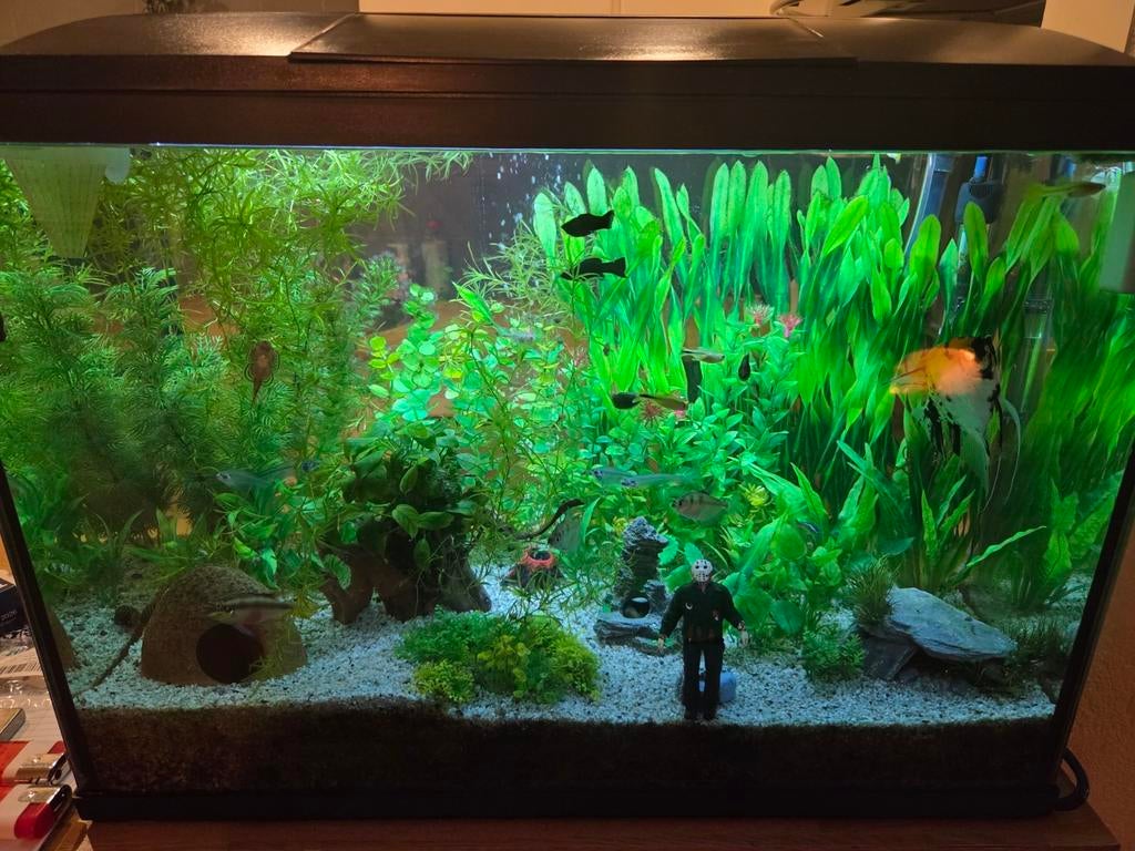 Aquarium 100 liter., Dieren en Toebehoren, Vissen | Aquaria en Toebehoren, Ophalen, Gevuld zoetwateraquarium