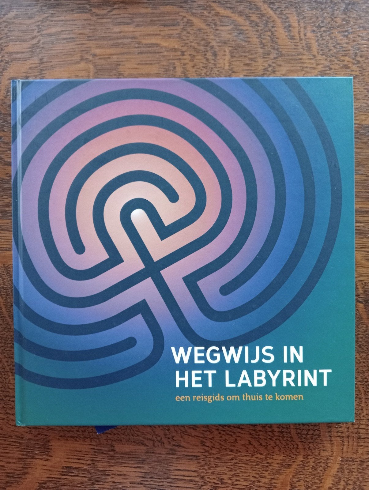 Wegwijs in het labyrint, Boeken, Achtergrond en Informatie, Ophalen of Verzenden, Zo goed als nieuw, LabyrintWerk