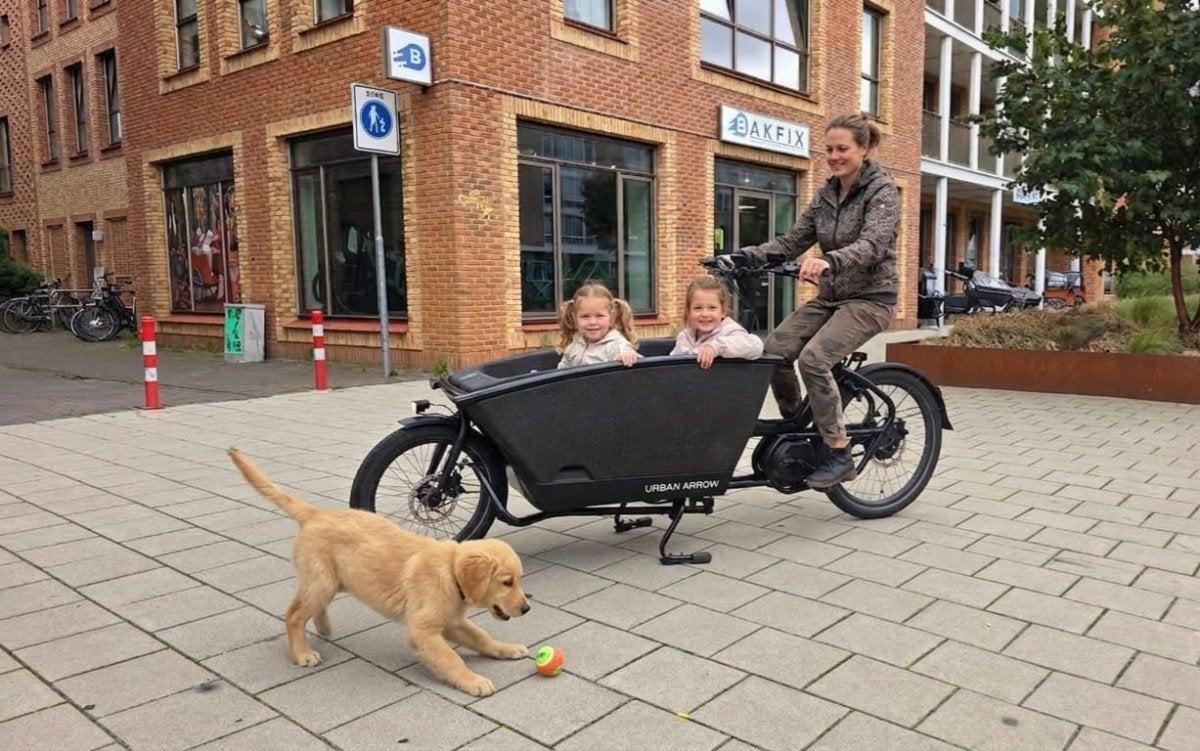 Urban Arrow Performance Line bakfiets met regenten