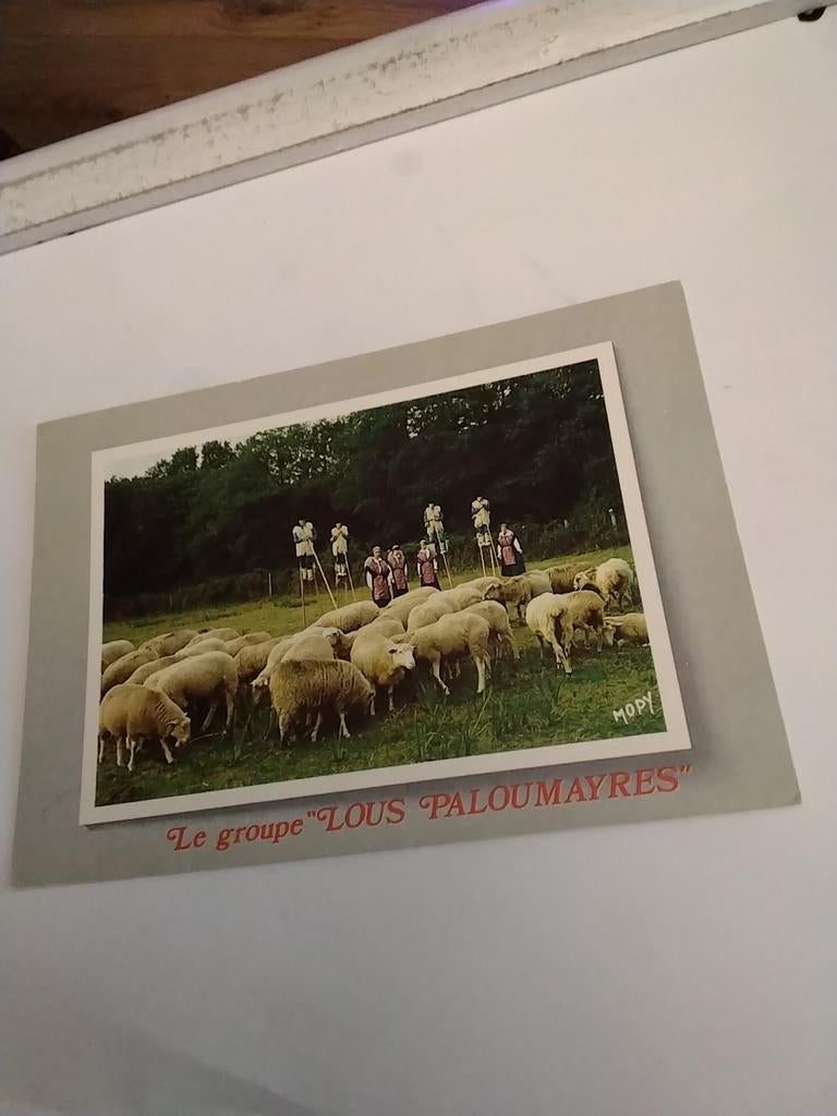 LE GROUPE "LOUS PALOUMAYRES", Ophalen of Verzenden, Voor 1920, Overige thema's