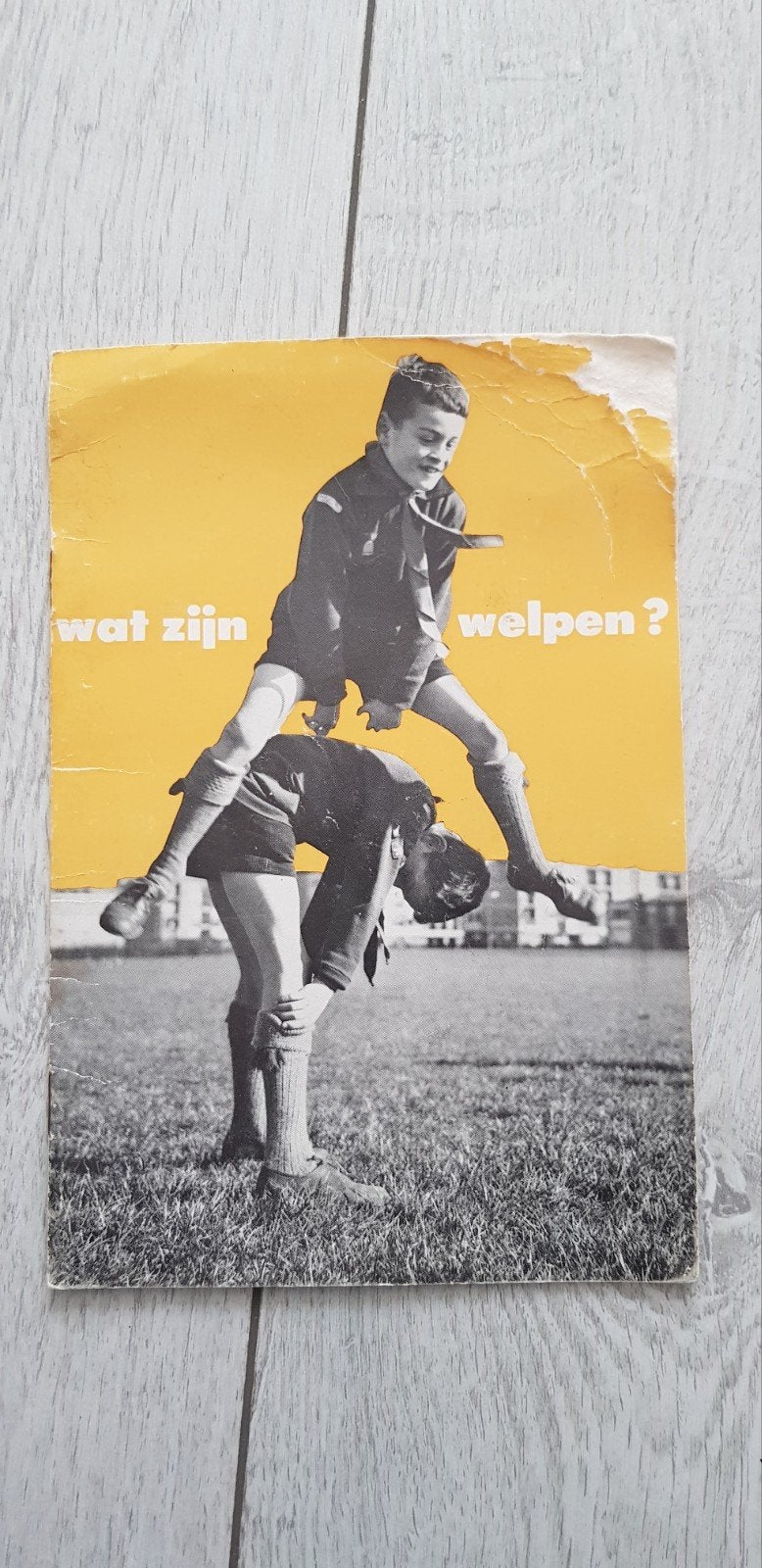 Scouting Padvinderij boekje "Wat zijn Welpen" Verzamel item, Verzamelen, Ophalen of Verzenden, Gebruikt, Boek of Tijdschrift