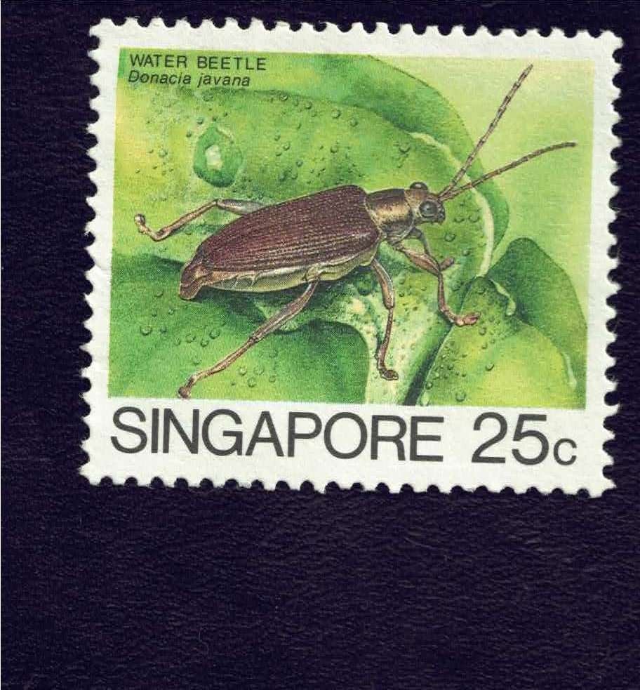 Fauna - Dieren - Riet Kever - Singapore - 25c - gebr, Ophalen of Verzenden, Gestempeld, Dier of Natuur