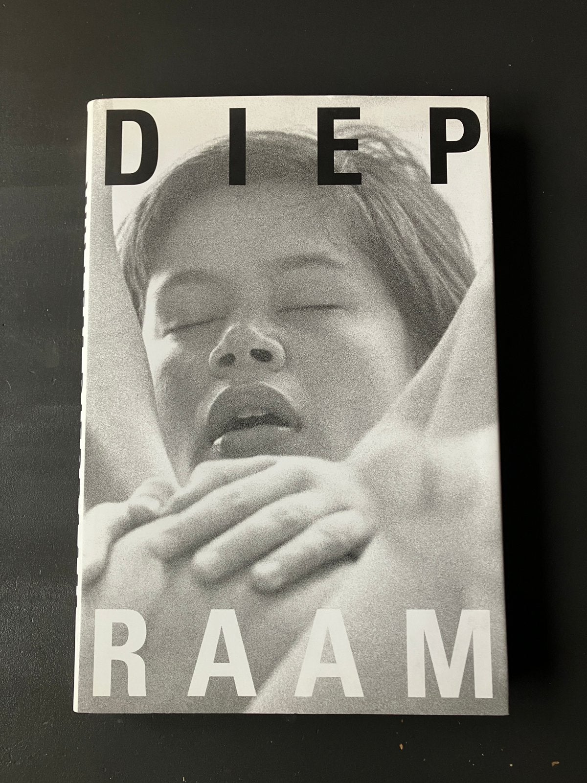 Willem Diepraam, Ophalen of Verzenden, Zo goed als nieuw, Fotografen