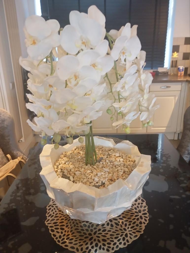 SCHELPEN VAAS PEARL
MET KUNST ORCHIDEE
ZIE FOTO S, Huis en Inrichting, Woonaccessoires | Vazen, Ophalen, Zo goed als nieuw