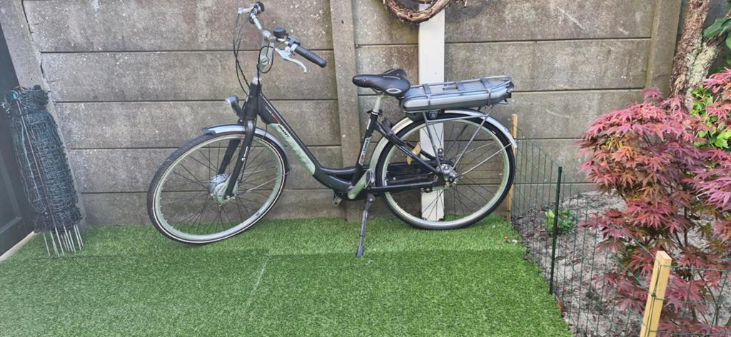 Giant Twist Lite elektrische fiets - accu nazien, Ophalen of Verzenden, Gebruikt, Giant