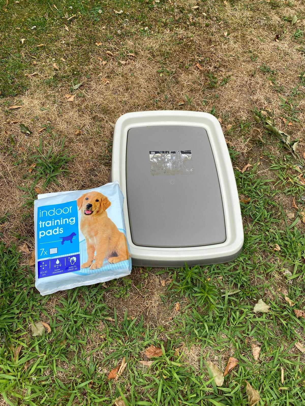 Puppy zindelijkheids trainer, Ophalen