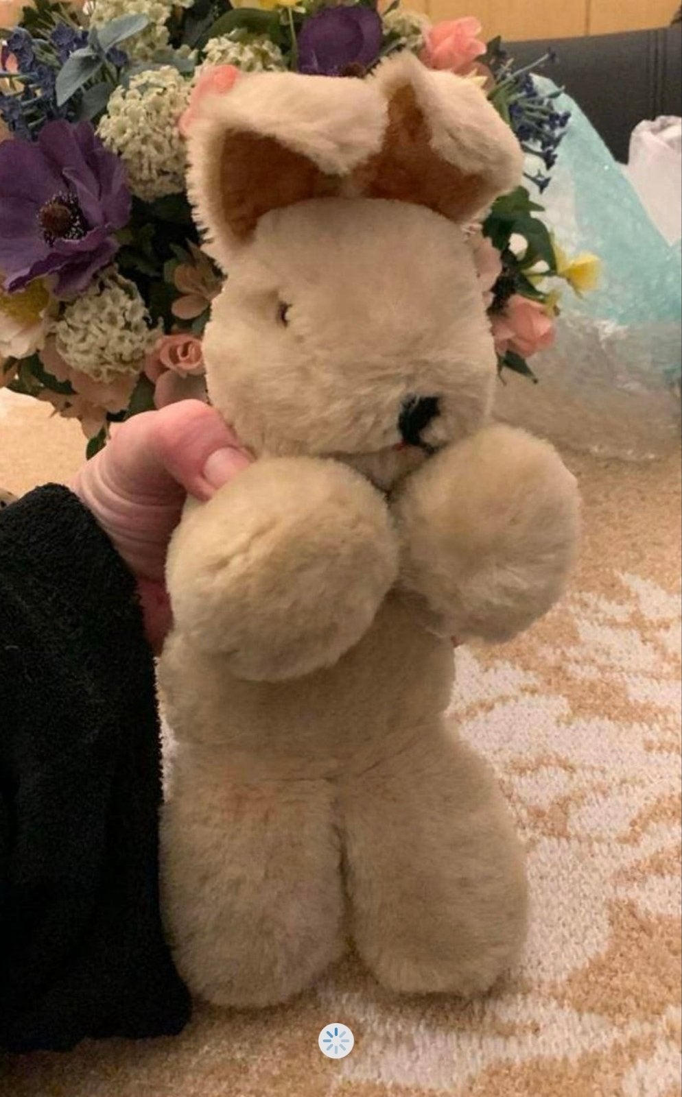 Schattige knuffels: Konijn, Beer en Zeehond, Kinderen en Baby's, Gebruikt, Verzenden, Konijn, Met label