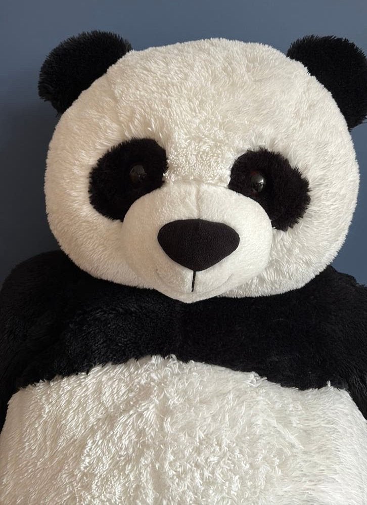 Hele grote panda knuffel 1.30. XXL, Ophalen, Overige karakters, Beer, Zwart