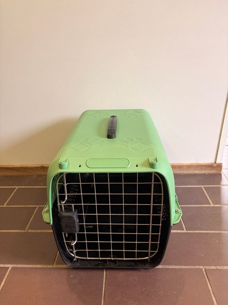 Nieuwe kat transportboxen!, Dieren en Toebehoren, Katten-accessoires, Nieuw, Ophalen