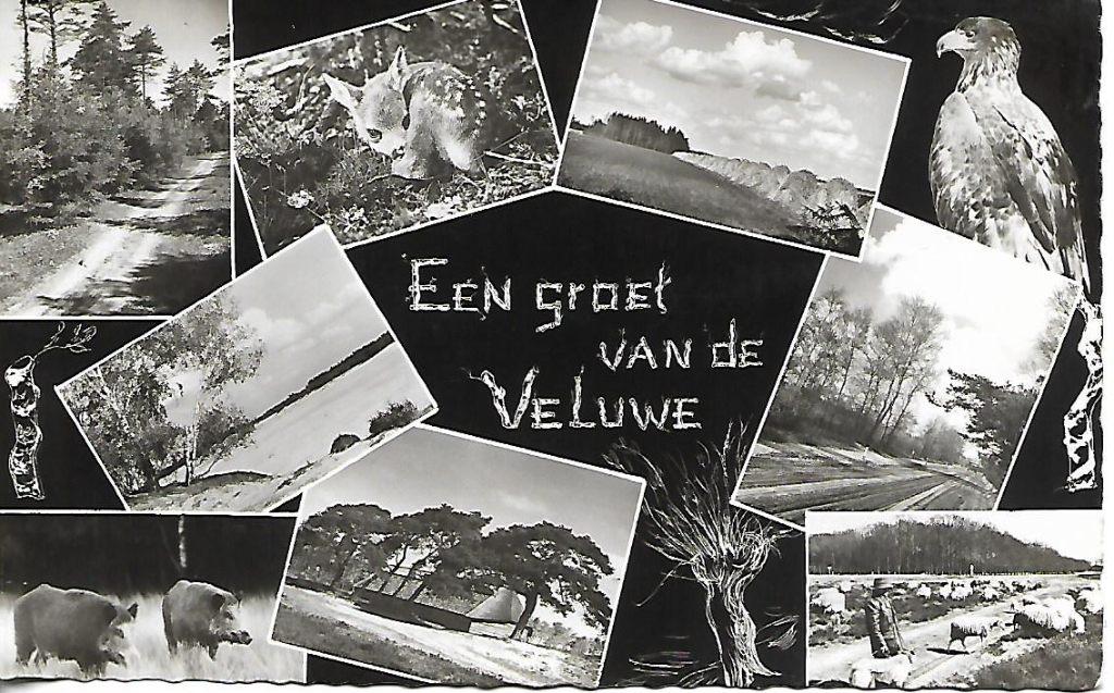Gelderland- -8-luik., Verzamelen, Verzenden, 1960 tot 1980, Gelopen, Gelderland
