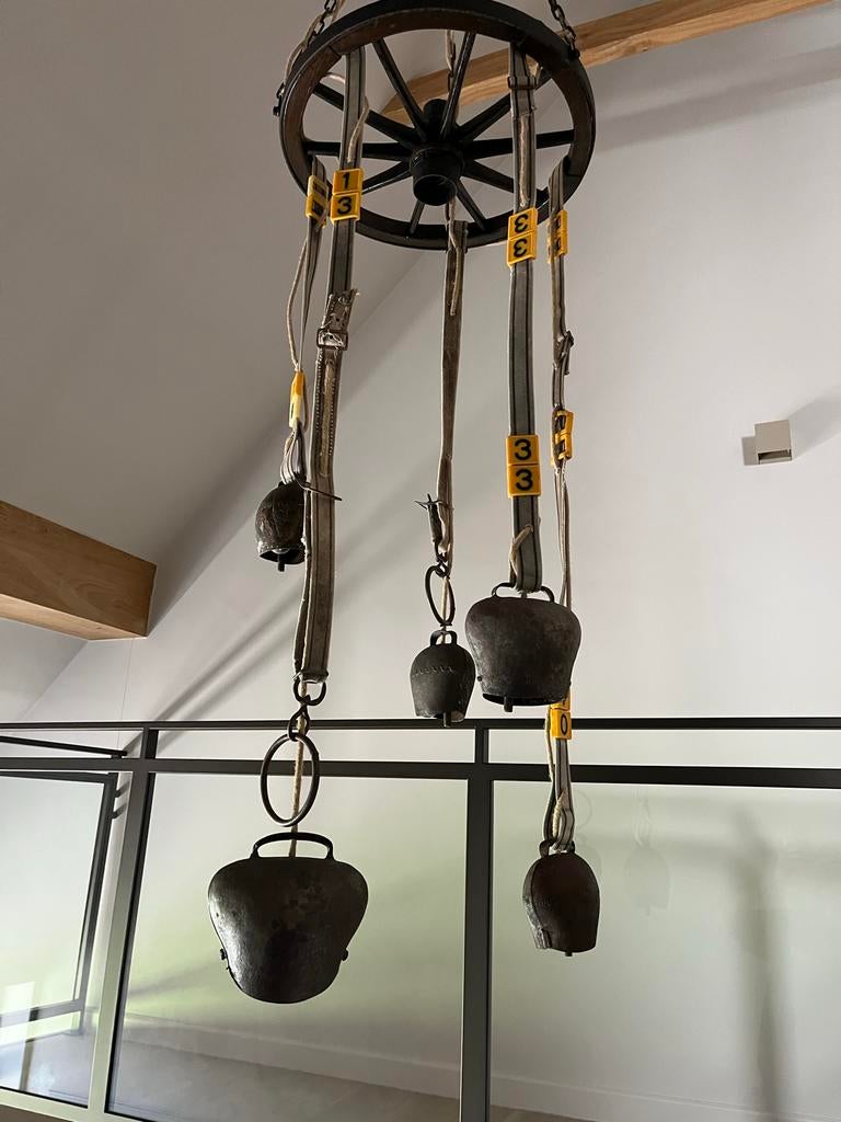 40 Koe halsbanden voor creatieve lampen, Ophalen