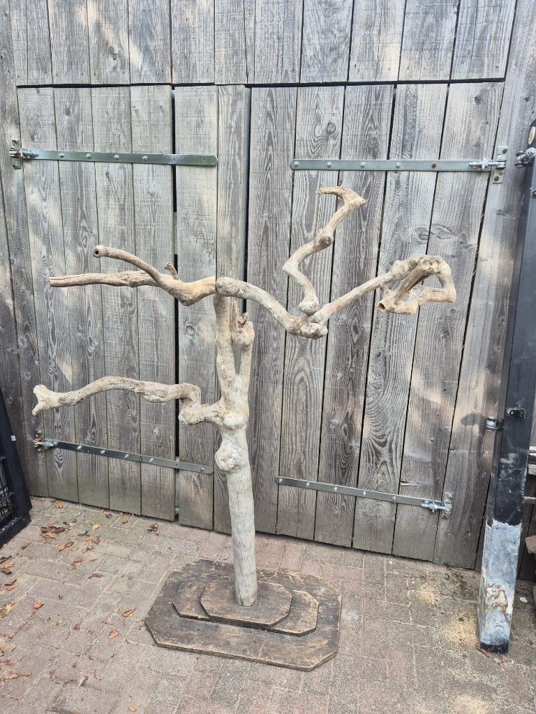 Prachtige grote Java boom / vogelboom – 170 cm hoog, Ophalen, Gebruikt, Speelgoed