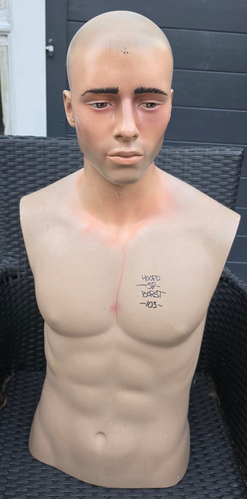 Torso met hoofd, Ophalen of Verzenden, Overige soorten, Nederland, Overige typen