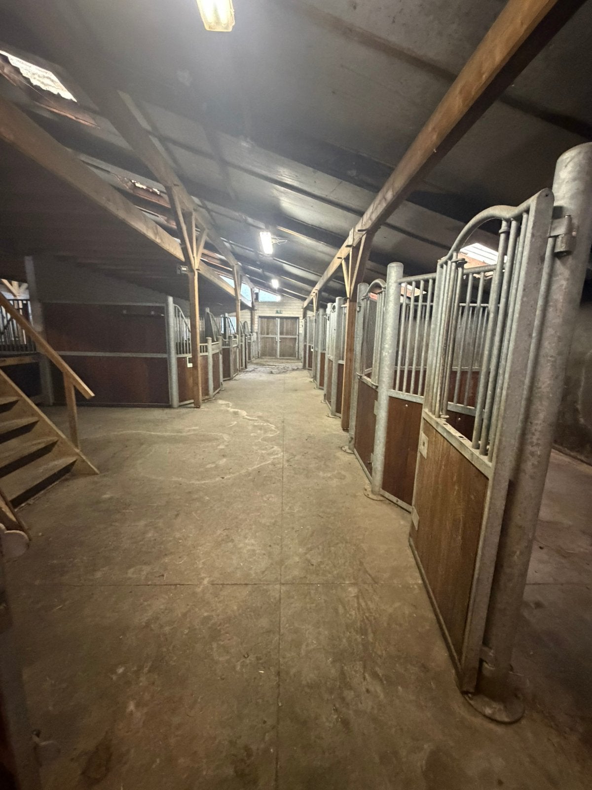 Paardenboxen tekoop