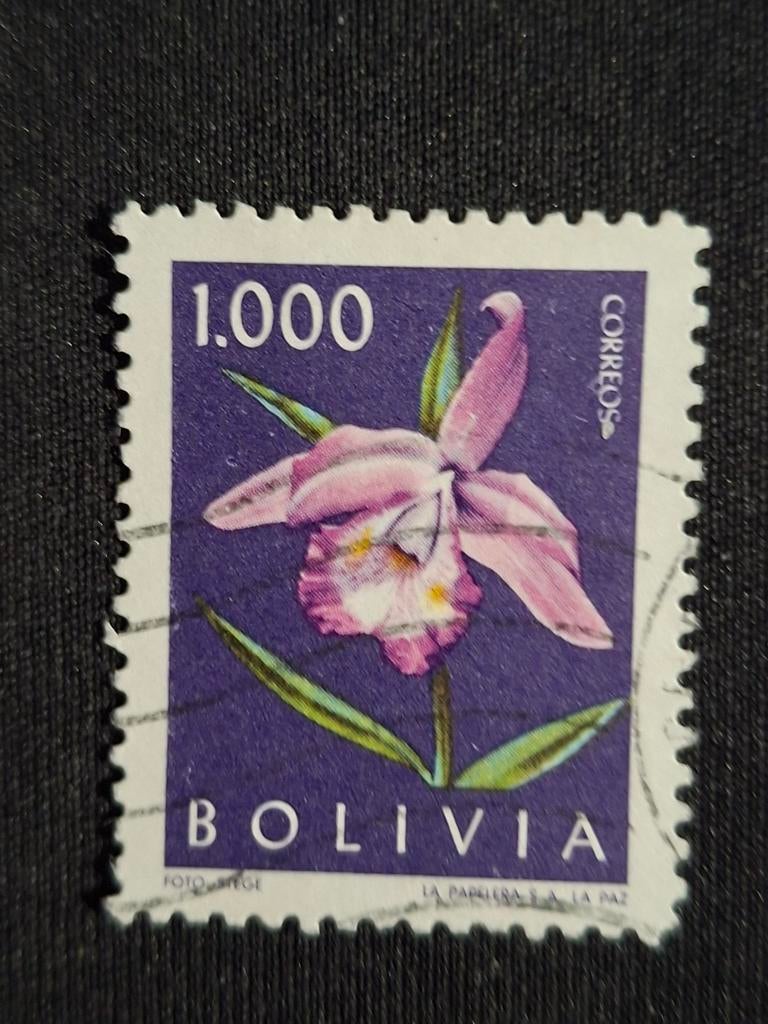 Bolivia, Ophalen of Verzenden, Gestempeld, Zuid-Amerika