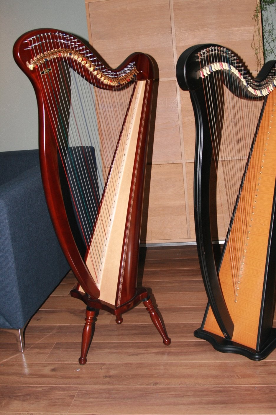 Te Huur Aoyama haakjesharp  34 snaren DB130 incl potenset, Muziek en Instrumenten, Snaarinstrumenten | Harpen, Ophalen, Zo goed als nieuw