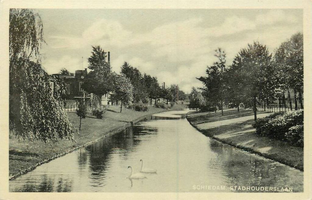 388-509-023 Schiedam Stadhouderslaan, Verzenden, Voor 1920, Zuid-Holland