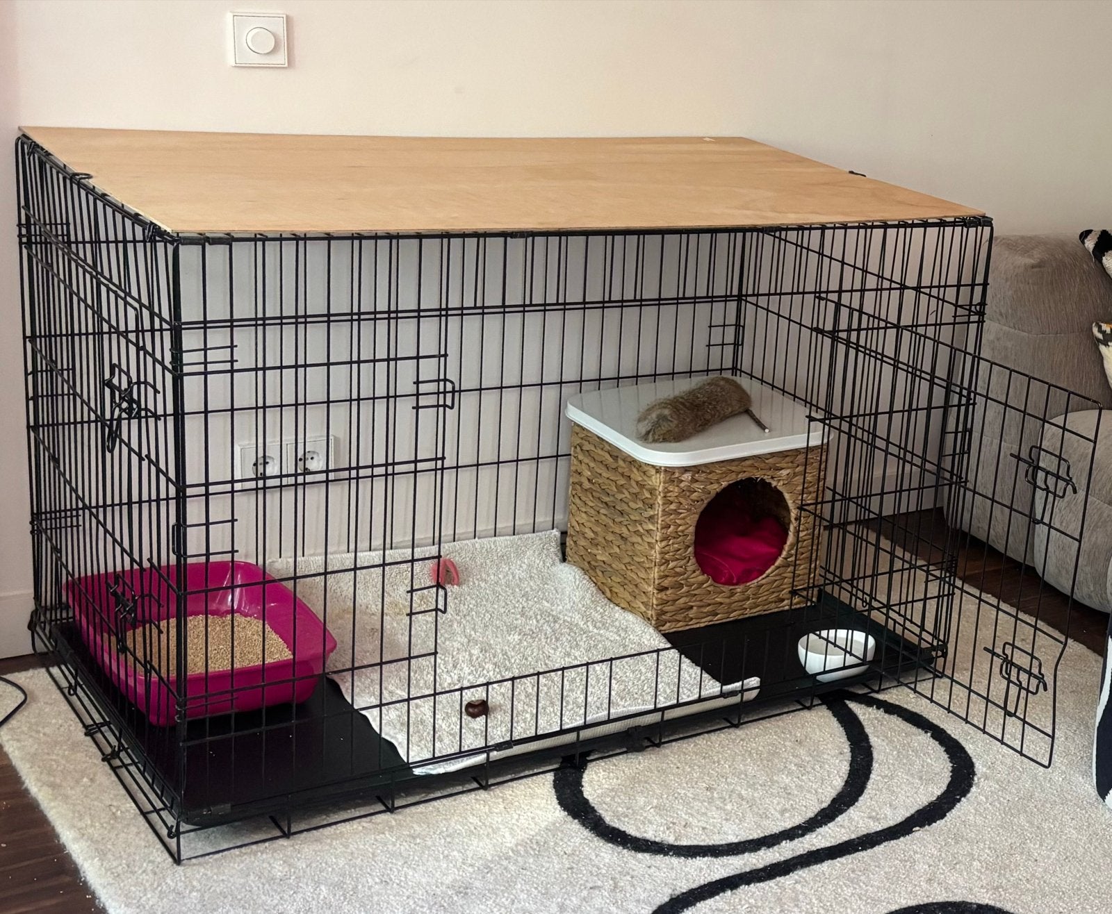 XXL Bench voor Hond of Kat Zwart met houten plank, Dieren en Toebehoren, Ophalen, Zo goed als nieuw