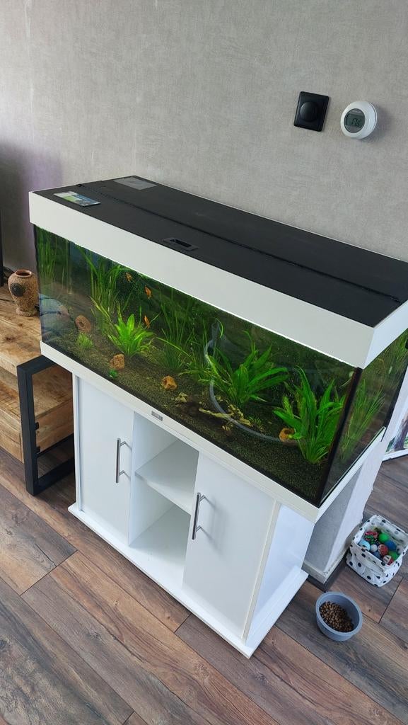 Witte Juwel Rio 180, Dieren en Toebehoren, Vissen | Aquaria en Toebehoren, Ophalen, Gevuld zoetwateraquarium
