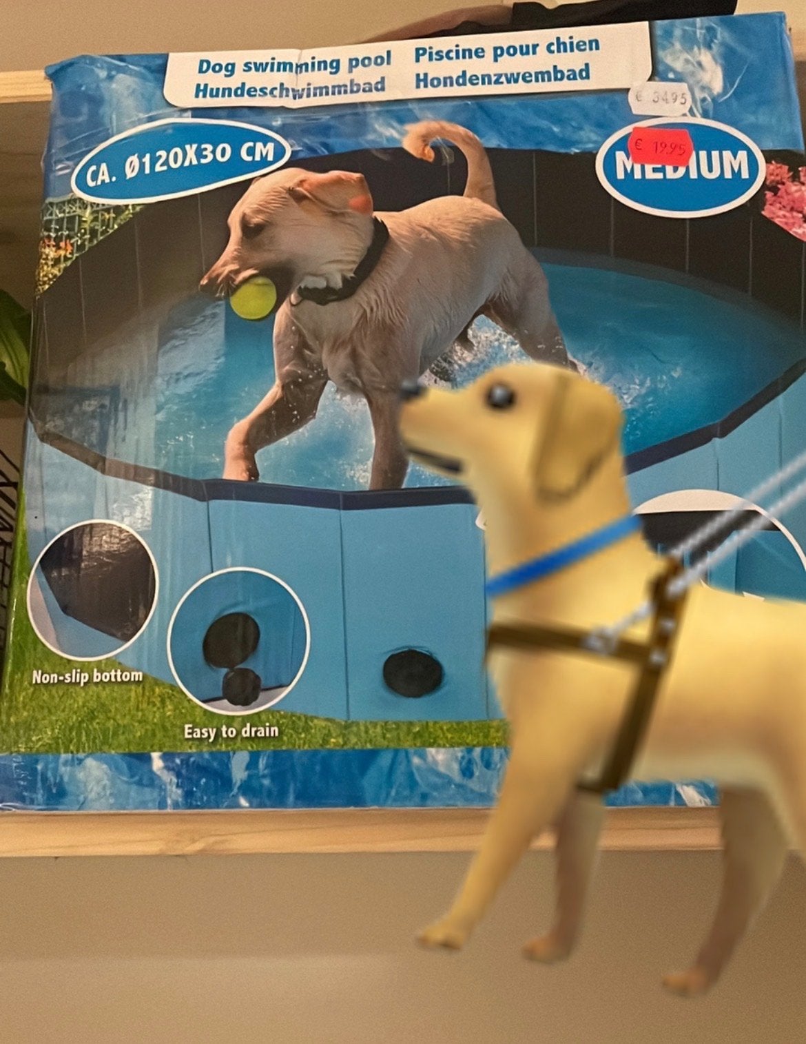zwembad voor honden en katten, Ophalen