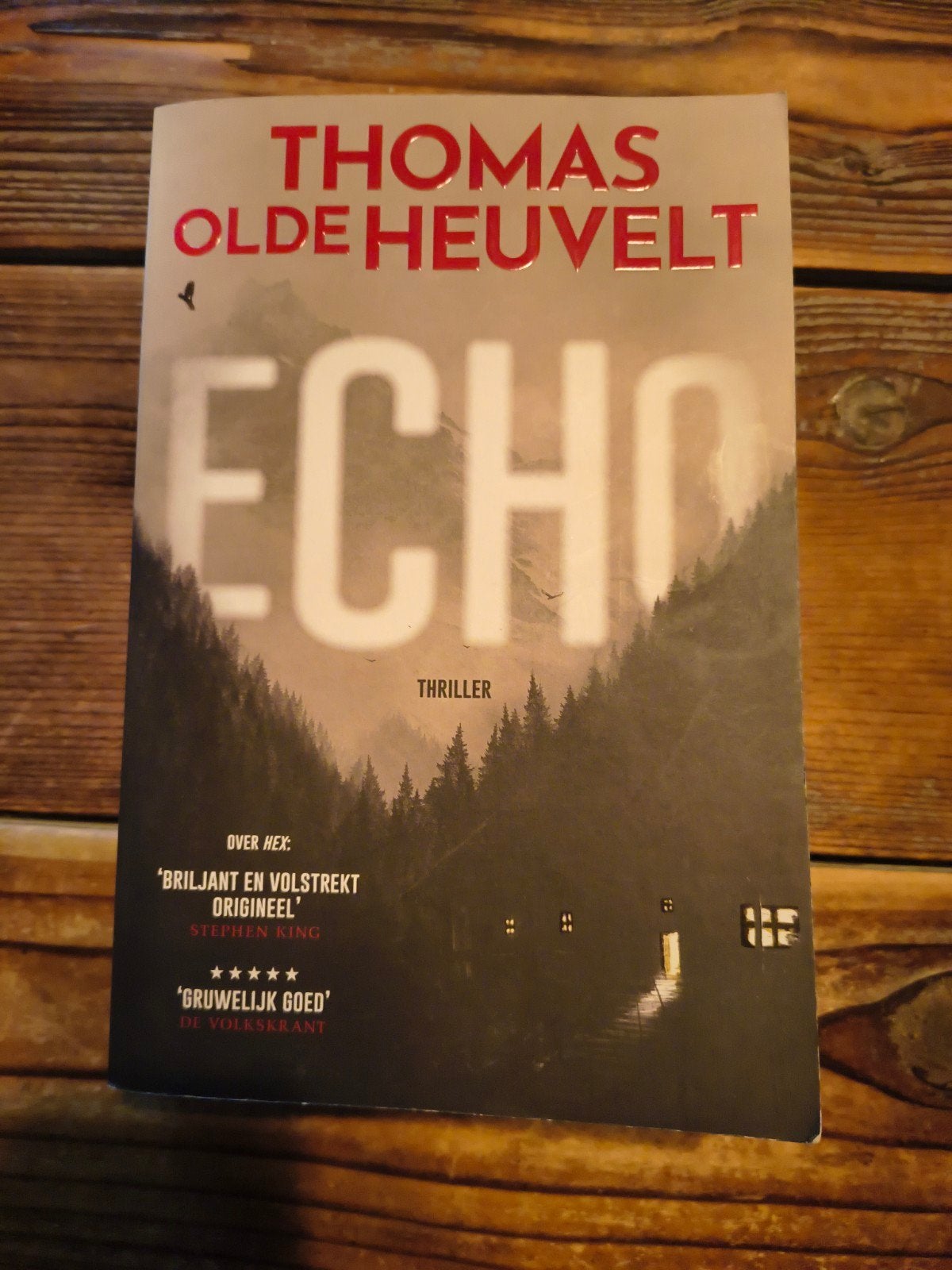 Thomas Olde Heuvelt - Echo, Boeken, Ophalen of Verzenden, Gelezen, Thomas Olde Heuvelt