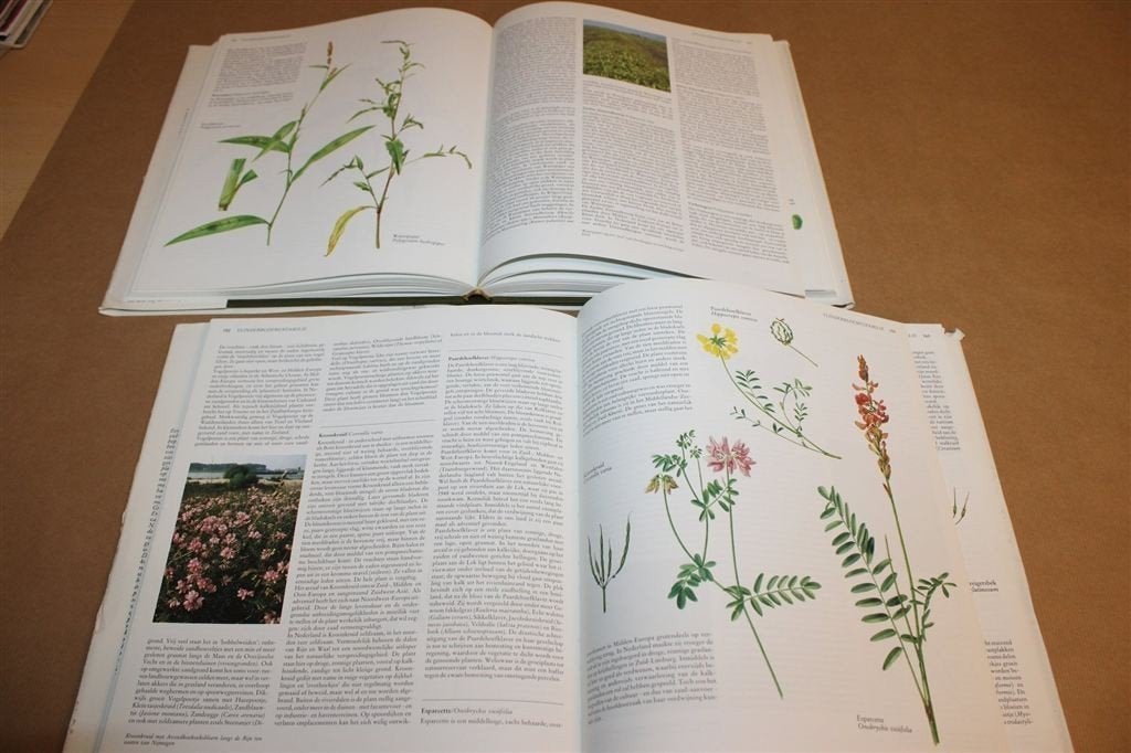Nederlandse Oecologische Flora Deel 1 & 2 — Wilde Planten, Boeken, Ophalen of Verzenden, Gelezen, Bloemen, Planten en Bomen