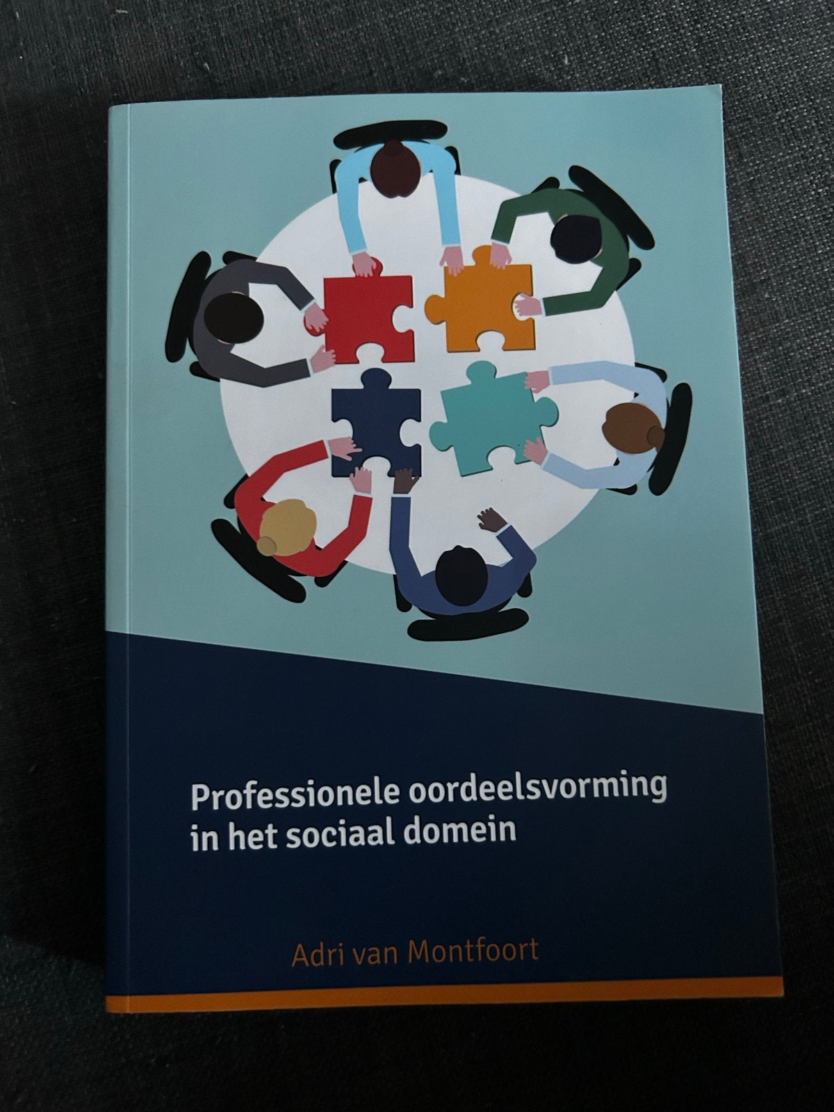Professionele oordeelsvorming in het sociaal domein, Boeken, Studieboeken en Cursussen, Ophalen of Verzenden, Gamma, Zo goed als nieuw